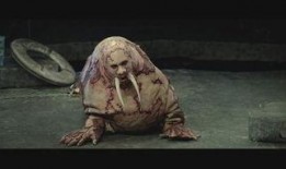 人形海象在线视频观看,海洋奇遇记