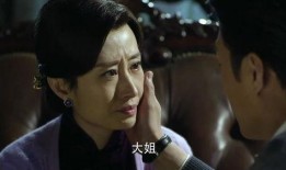 电视剧伪装者48看全集在线观看,揭秘抗战岁月中的生死较量